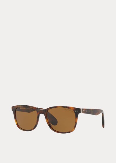 Men's Ralph Lauren Classic JL Sunglasses | 631820QVW